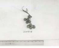 Click for 1 image(s) for this accession. FRUIT